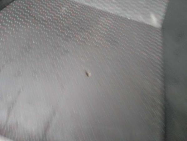 SIEGE AVANT GAUCHE CITROEN JUMPER / PEUGEOT BOXER / FIAT DUCATO 2014 + - Vue 3